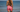 Women's Boardshorts