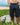 Man in cargo shorts with hands in pockets with surfboard 