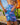Maui Rippers Tropical Dream boardshort in pink and blue has a side zip pocket