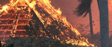 How You Can Help Maui Wildfire Victims Right Now