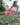 Women's Leilani Long Wrap Skirt