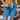 Wailua Falls 9" Classic Boardshorts